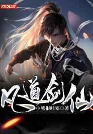 自由小迷宫